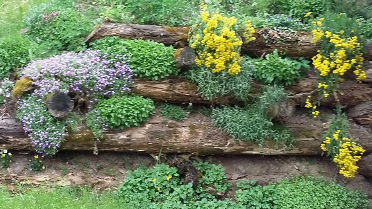 Pastrogn 4 Διαμέρισμα La Valle Εξωτερικό φωτογραφία
