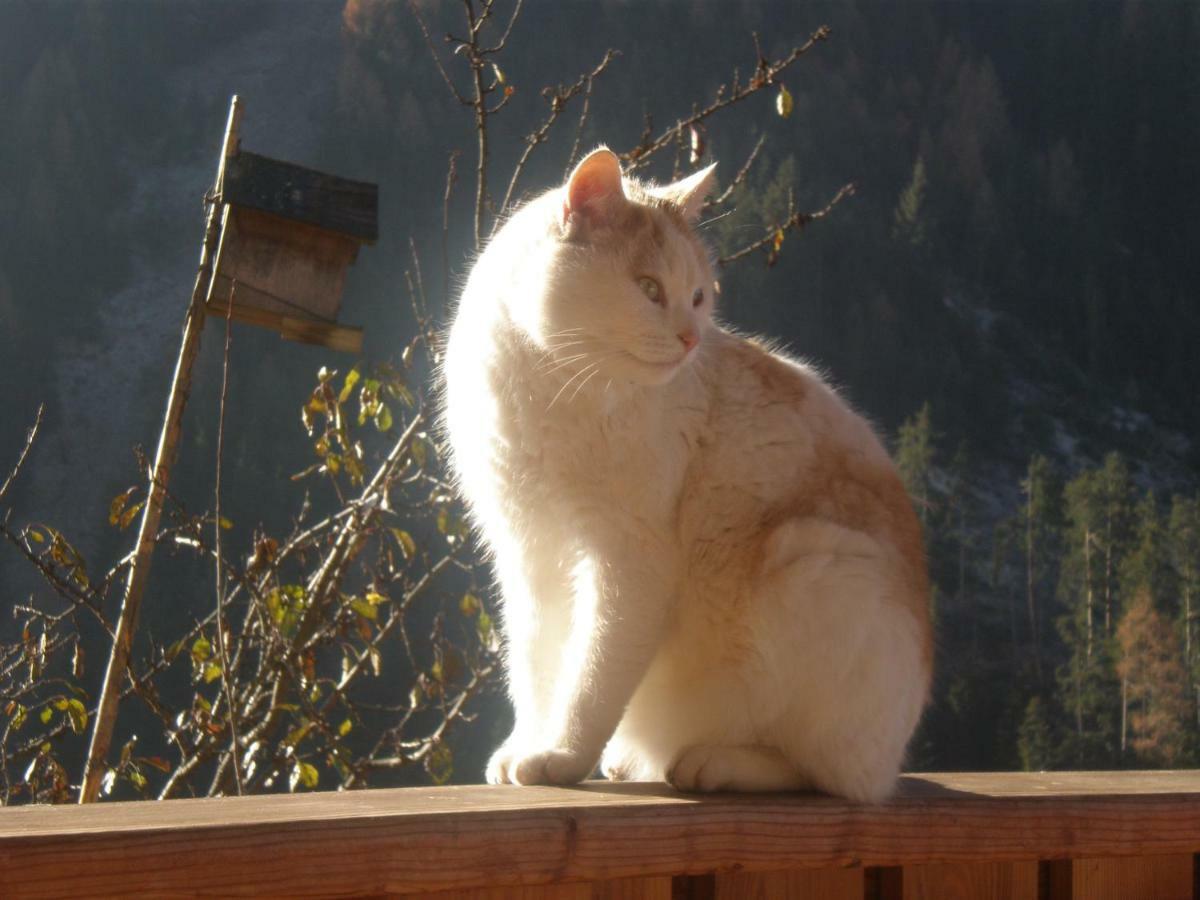 Pastrogn 4 Διαμέρισμα La Valle Εξωτερικό φωτογραφία